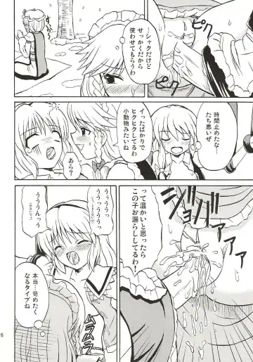 [Takaku Toshihiko] Touhou Youjo Ranbu 4 Fhentai - Page 25