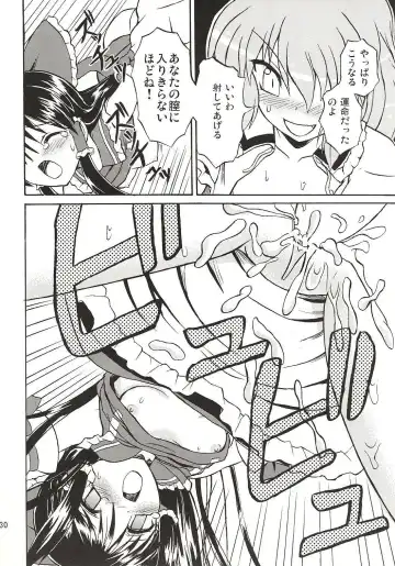 [Takaku Toshihiko] Touhou Youjo Ranbu 4 Fhentai - Page 29