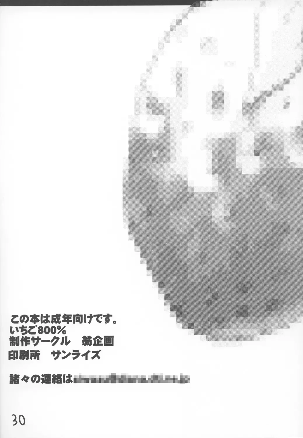 [Shiwasu No Okina] Ichigo 800% Fhentai - Page 29