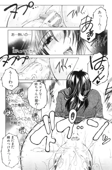 [Yasuhara Tsukasa] Ane Muchi Fhentai - Page 84