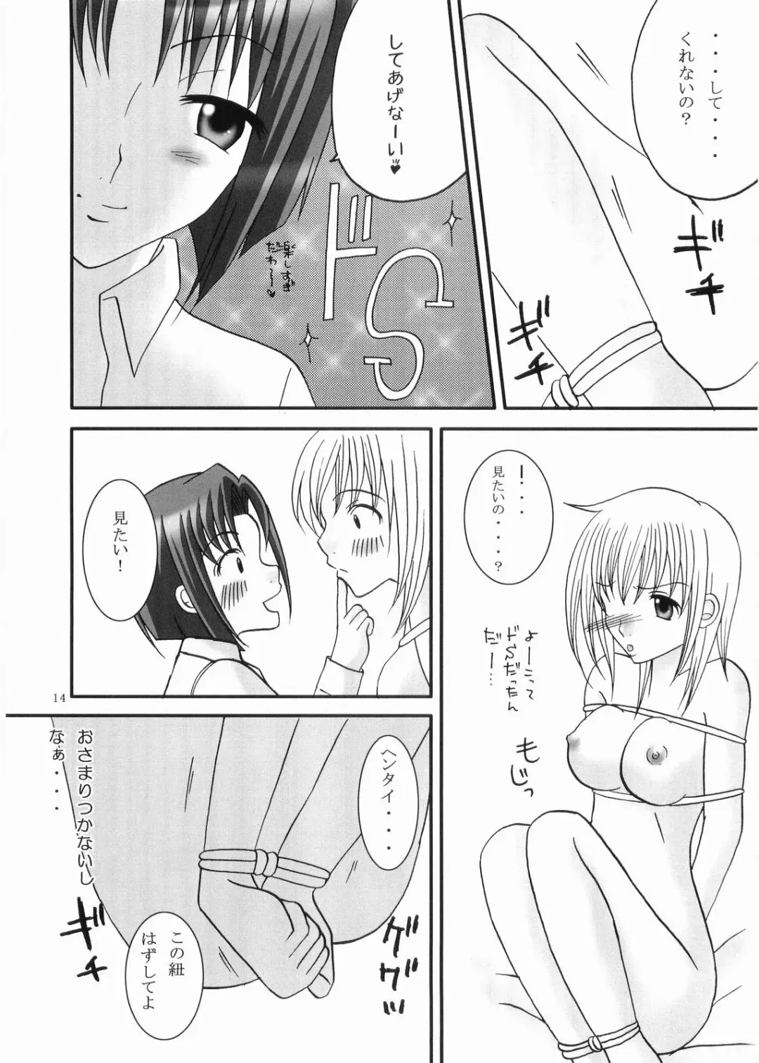 [Akiyoshi - Miyu] Fairy Fhentai - Page 13