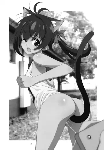 [Mizuki Eimu] Himitsu no Asobi Fhentai - Page 2