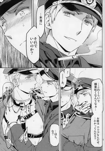 [Maru Mary] Es Fhentai - Page 9