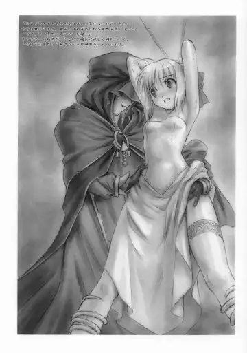 [Goto-p] Musou Fate Fhentai - Page 2