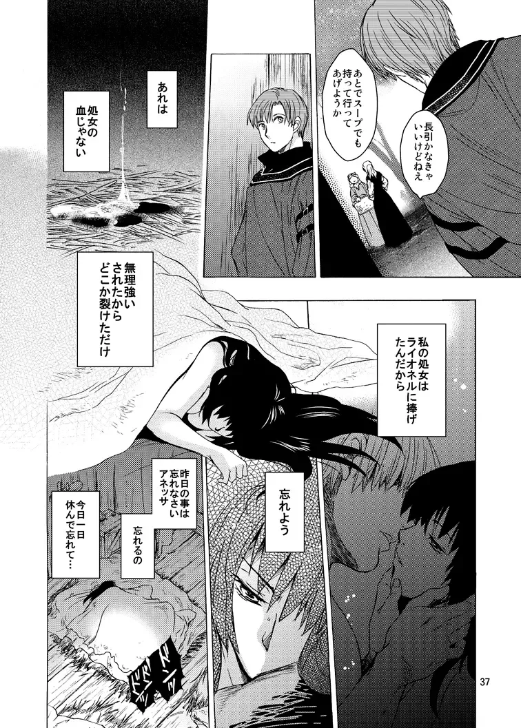 [Heizo - Kitoen] Saint Foire Festival 9 Anessa Fhentai - Page 37