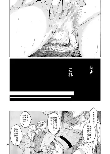 [Heizo - Kitoen] Saint Foire Festival 9 Anessa Fhentai - Page 36