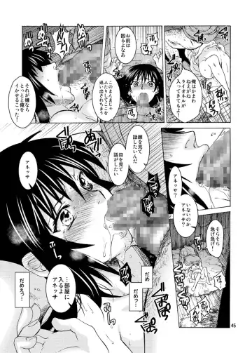 [Heizo - Kitoen] Saint Foire Festival 9 Anessa Fhentai - Page 45
