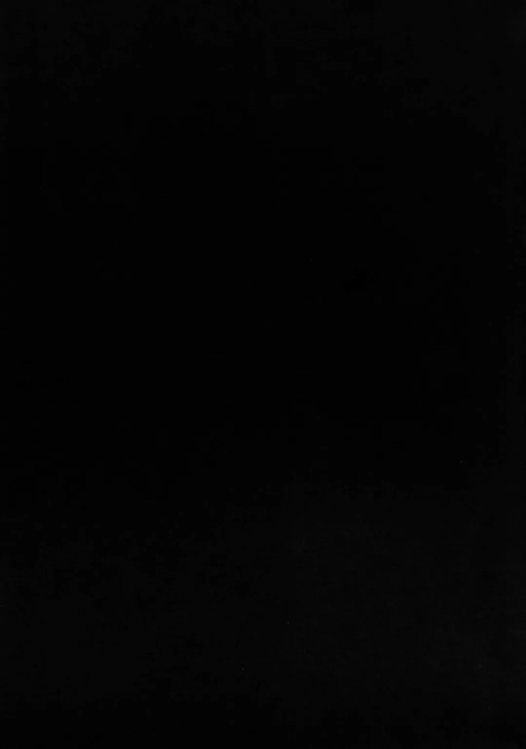 [Ma-kurou] Inran Do-Bitch! Cure Sunny Fhentai - Page 19