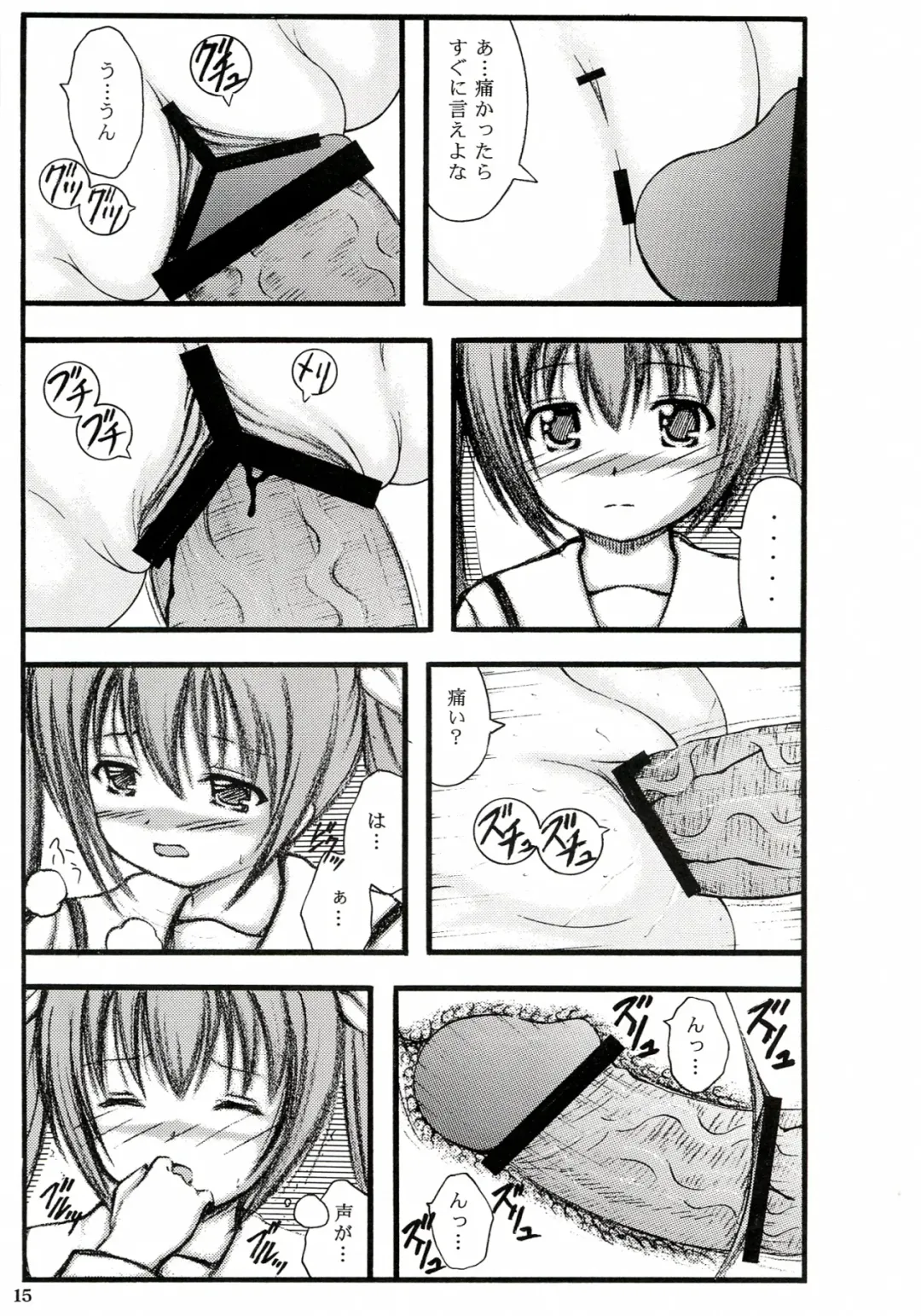 [Arata Shiki] Imouto no Kotori to Hen na Kuuki ni Natta Fhentai - Page 14