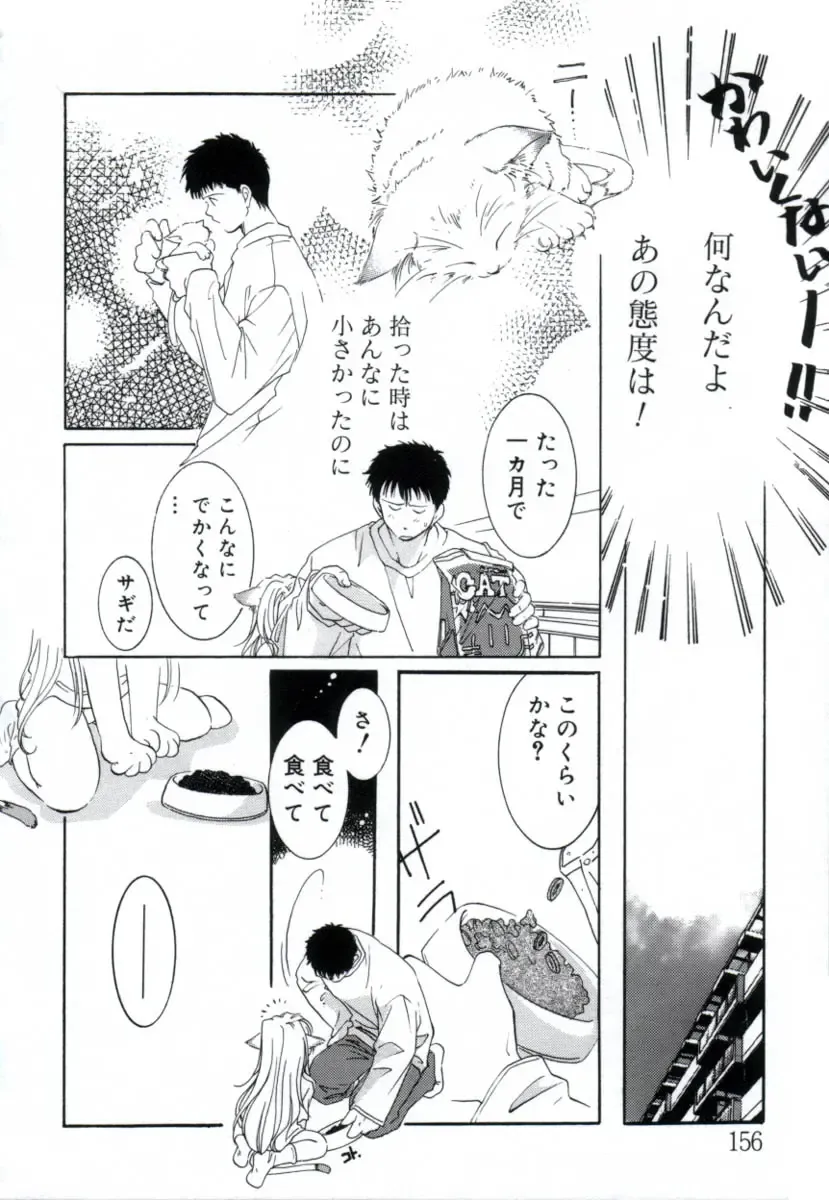 [Mitaonsya] GIRL FRIEND Fhentai - Page 154