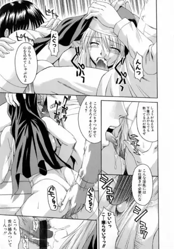 [Martan] Hyakka Ryoran Fhentai - Page 16