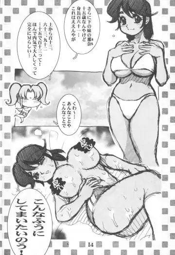 [Koshow Showshow] Koshou Sunzen Koshouchuu 8 Junbigou Ayase-ke No Hitobito Fhentai - Page 14