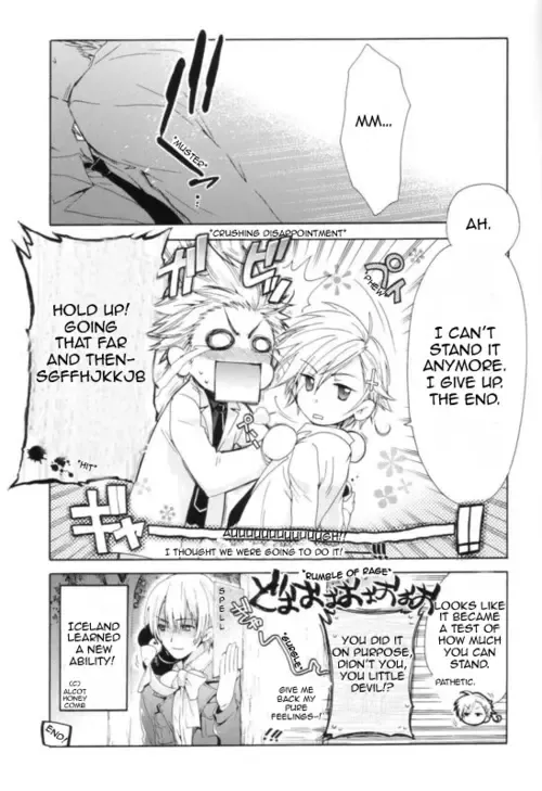 [Seta Hinako] (C77) [Samidare Kingyo (Seta Hinako) RE:ANKO UZA UNLIMITED (Axis Powers Hetalia) [English] Fhentai - Page 8