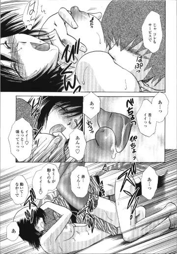 [Shou Akira] Seme Ane Fhentai - Page 25