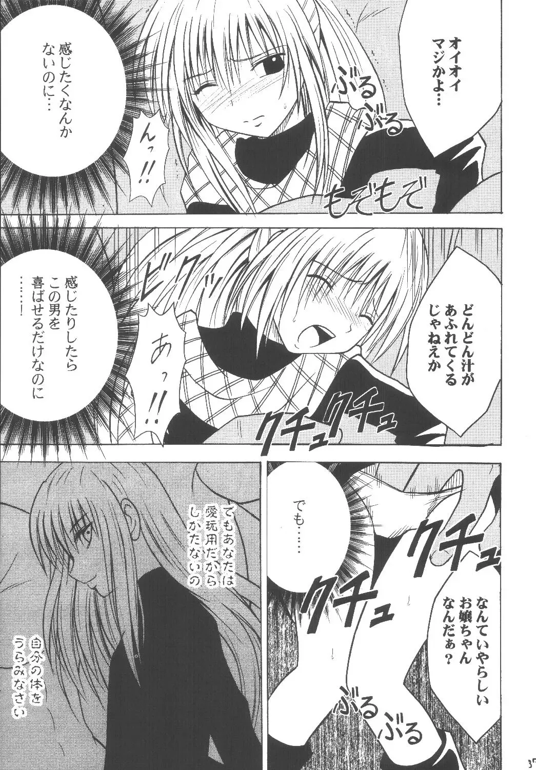 [Crimson] Kyouiku Soushuuhen Fhentai - Page 37