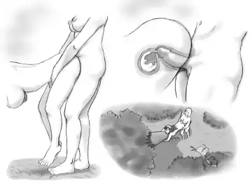 [Mizuiro Megane] Haeteru Oyako Futanari Journey Fhentai - Page 150