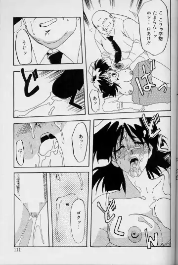 [Sanbun Kyoden] Hiiro no Koku Joukan Fhentai - Page 110