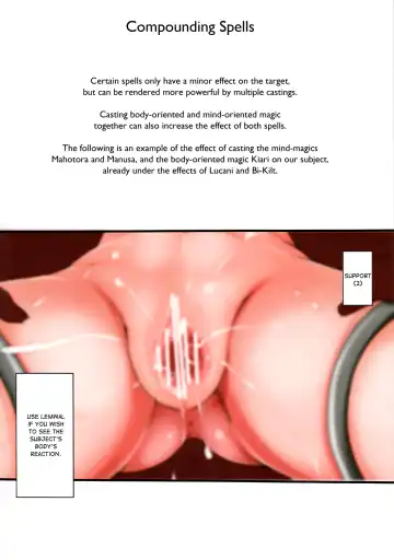 [Sekiguchi Hiroki] Ningen ni Sayou suru Mahou Kouka no Sho | A Magical Tome Fit for a Human Fhentai - Page 6