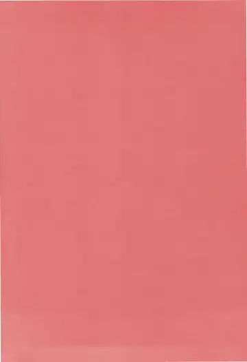 [Yamazaki Show] Enrei Mai Body Fhentai - Page 2