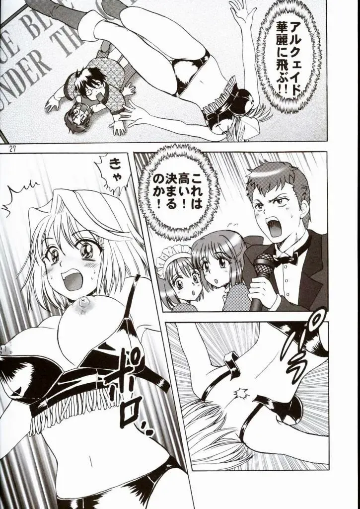 [Aya] PRINCESS FIGHT Fhentai - Page 26