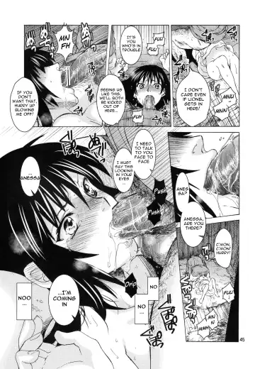 [Heizo - Kitoen] Saint Foire Festival 9 Anessa Fhentai - Page 45