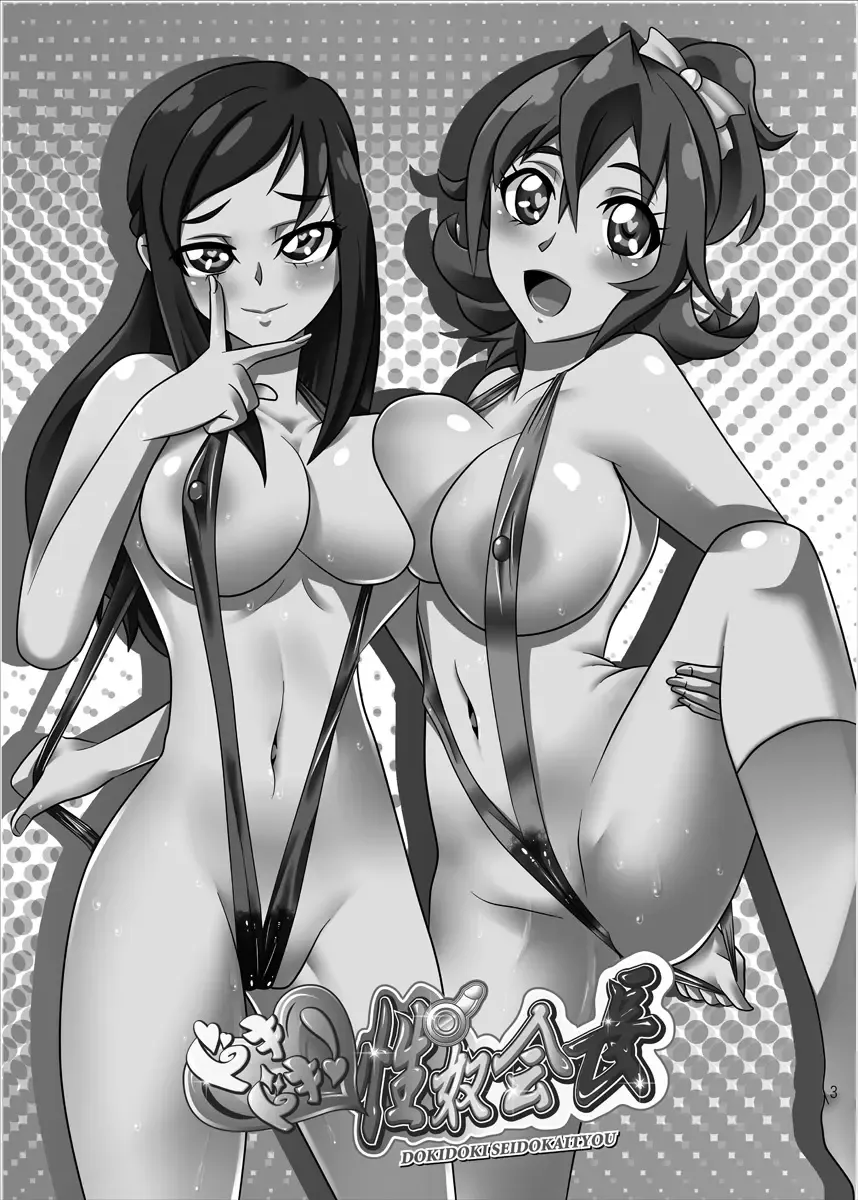 [Indozou] DokiDoki! Seido Kaichou Fhentai - Page 2