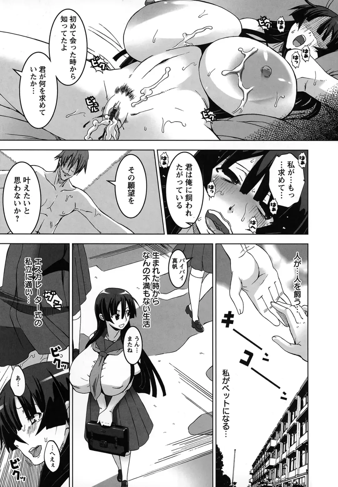 [Hg Chagawa] Mesuinu no Hibi Fhentai - Page 32