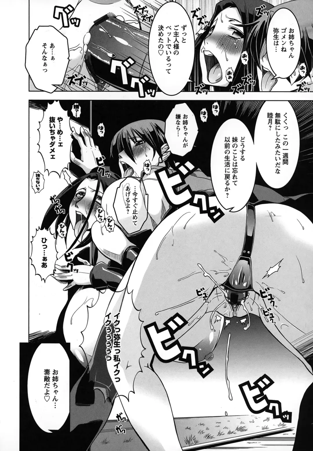 [Hg Chagawa] Mesuinu no Hibi Fhentai - Page 79