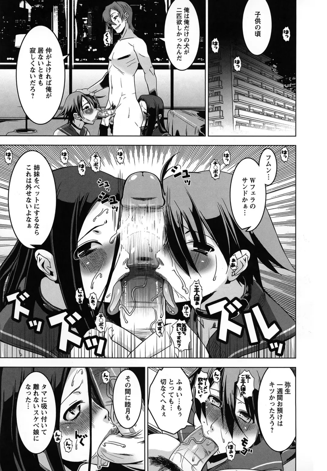 [Hg Chagawa] Mesuinu no Hibi Fhentai - Page 80