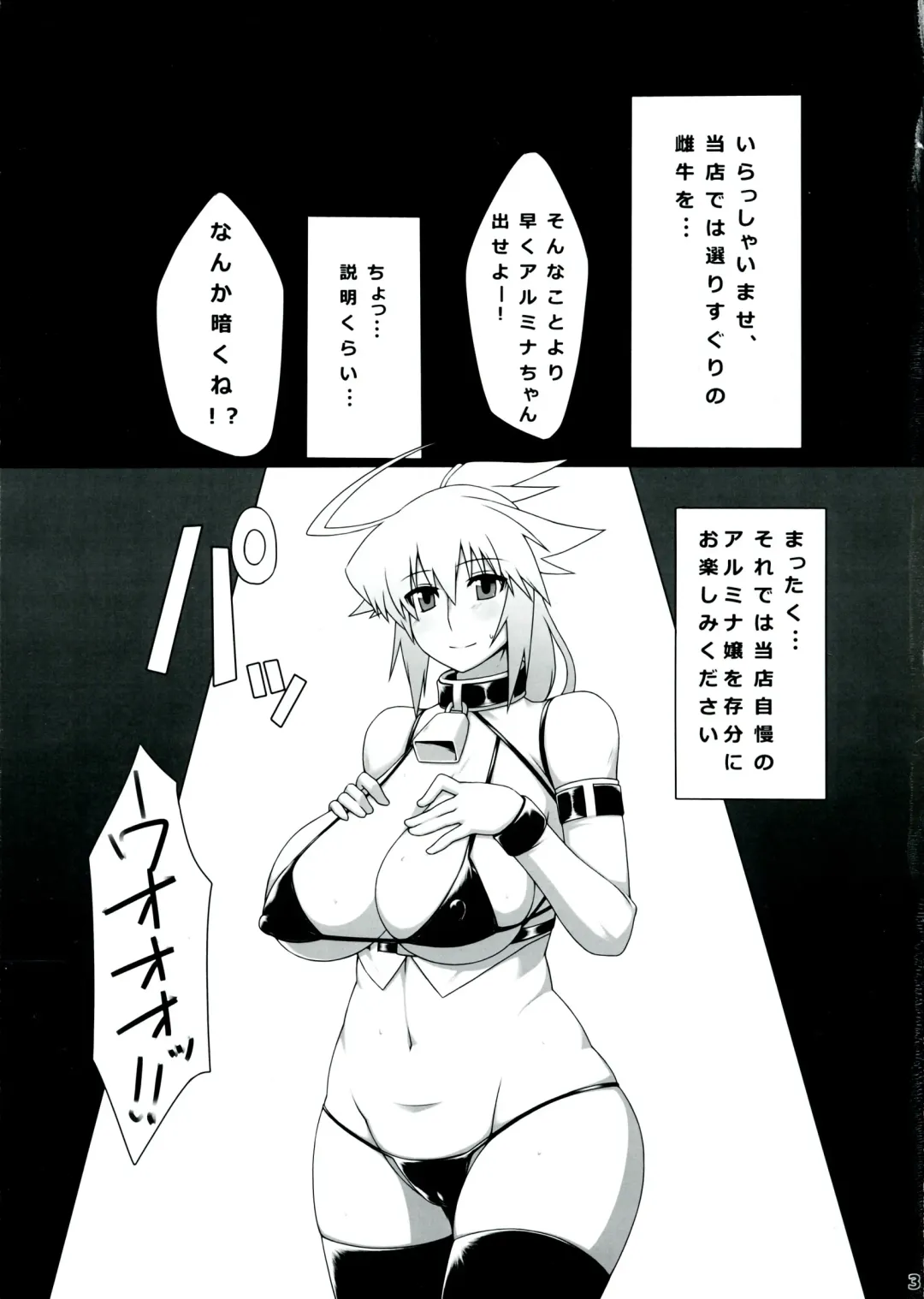 [Zin] AL:z Fhentai - Page 3