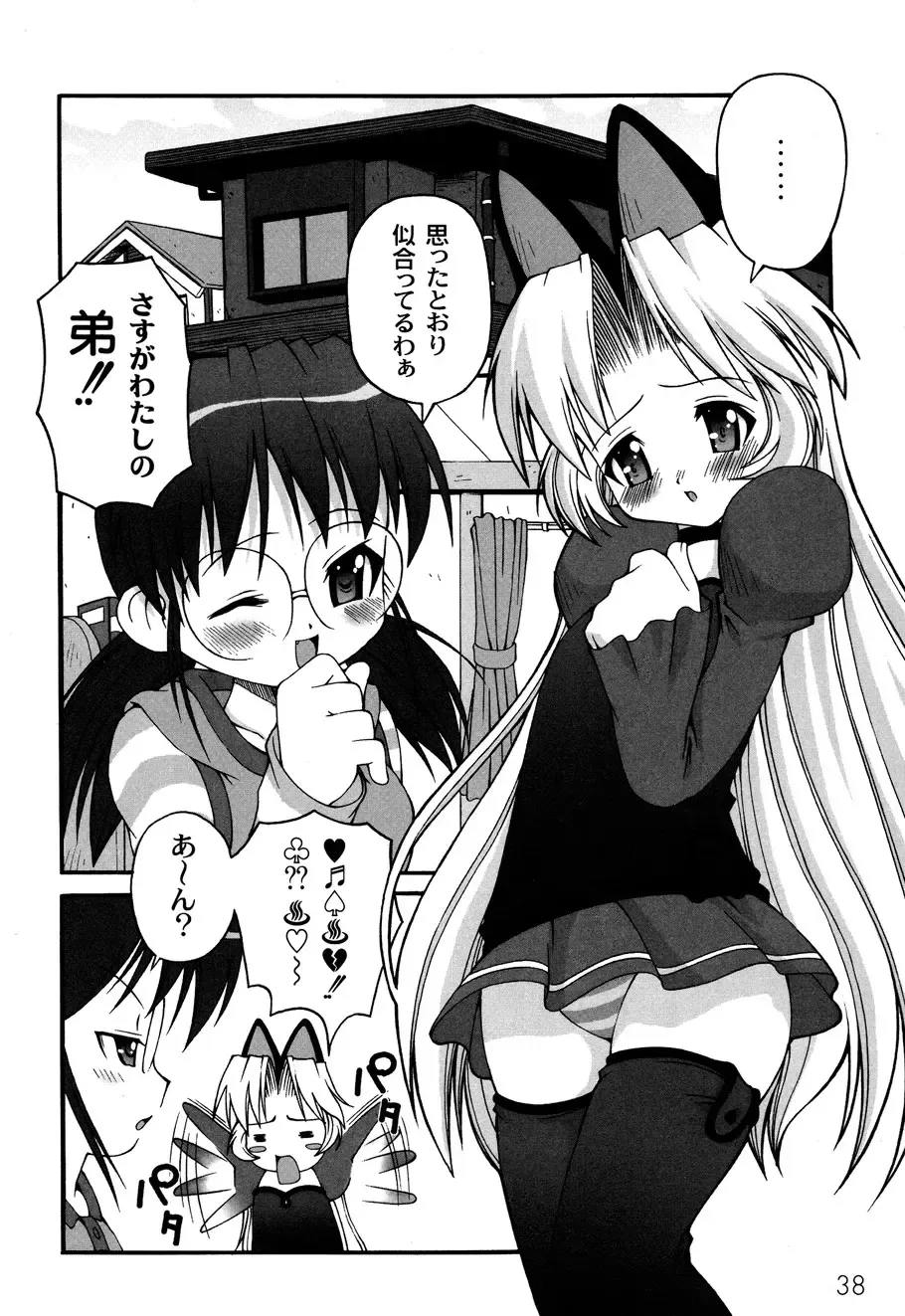 [Kakogawa Tarou] DOLL HAZARD Fhentai - Page 40