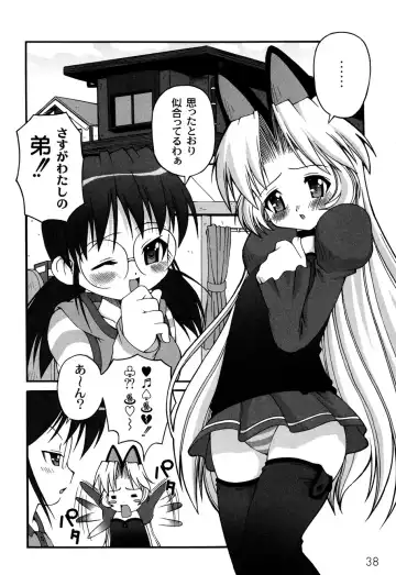 [Kakogawa Tarou] DOLL HAZARD Fhentai - Page 40