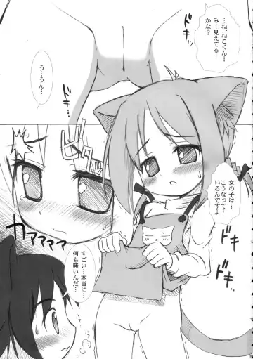 [Misooden] Bineko Fhentai - Page 2