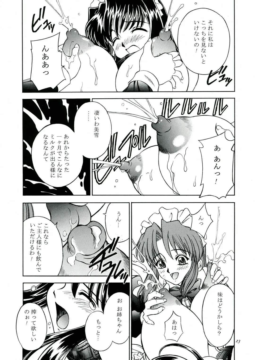 [Akiba Wataru] DOLLS DIARY 5 Fhentai - Page 24