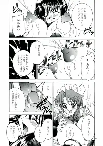 [Akiba Wataru] DOLLS DIARY 5 Fhentai - Page 24