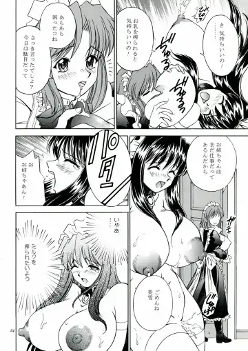 [Akiba Wataru] DOLLS DIARY 5 Fhentai - Page 25