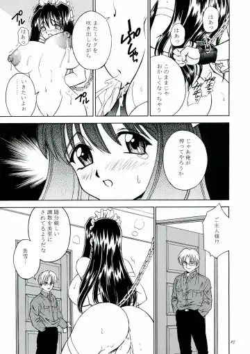 [Akiba Wataru] DOLLS DIARY 5 Fhentai - Page 26