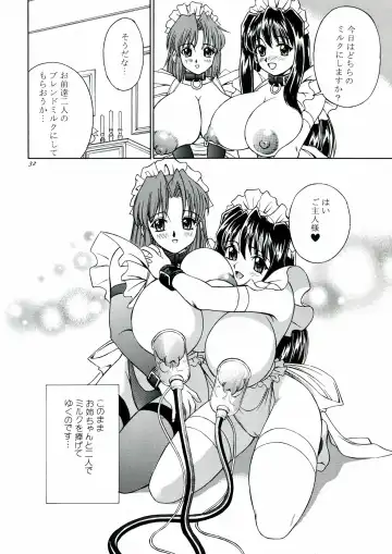 [Akiba Wataru] DOLLS DIARY 5 Fhentai - Page 33