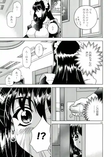 [Akiba Wataru] DOLLS DIARY 4 Fhentai - Page 13