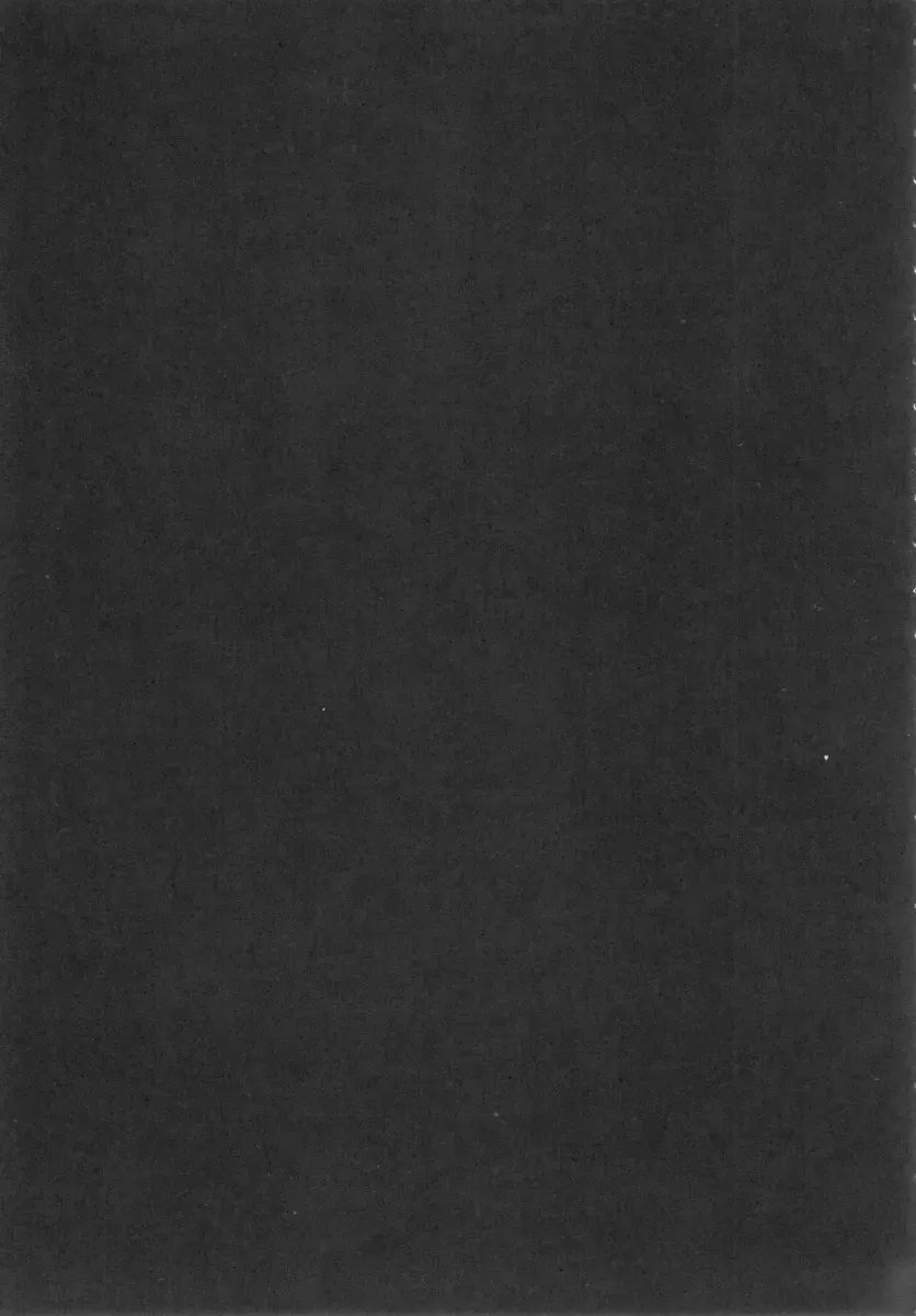 [Oujano Kaze] Drill Hime Rape Fhentai - Page 17