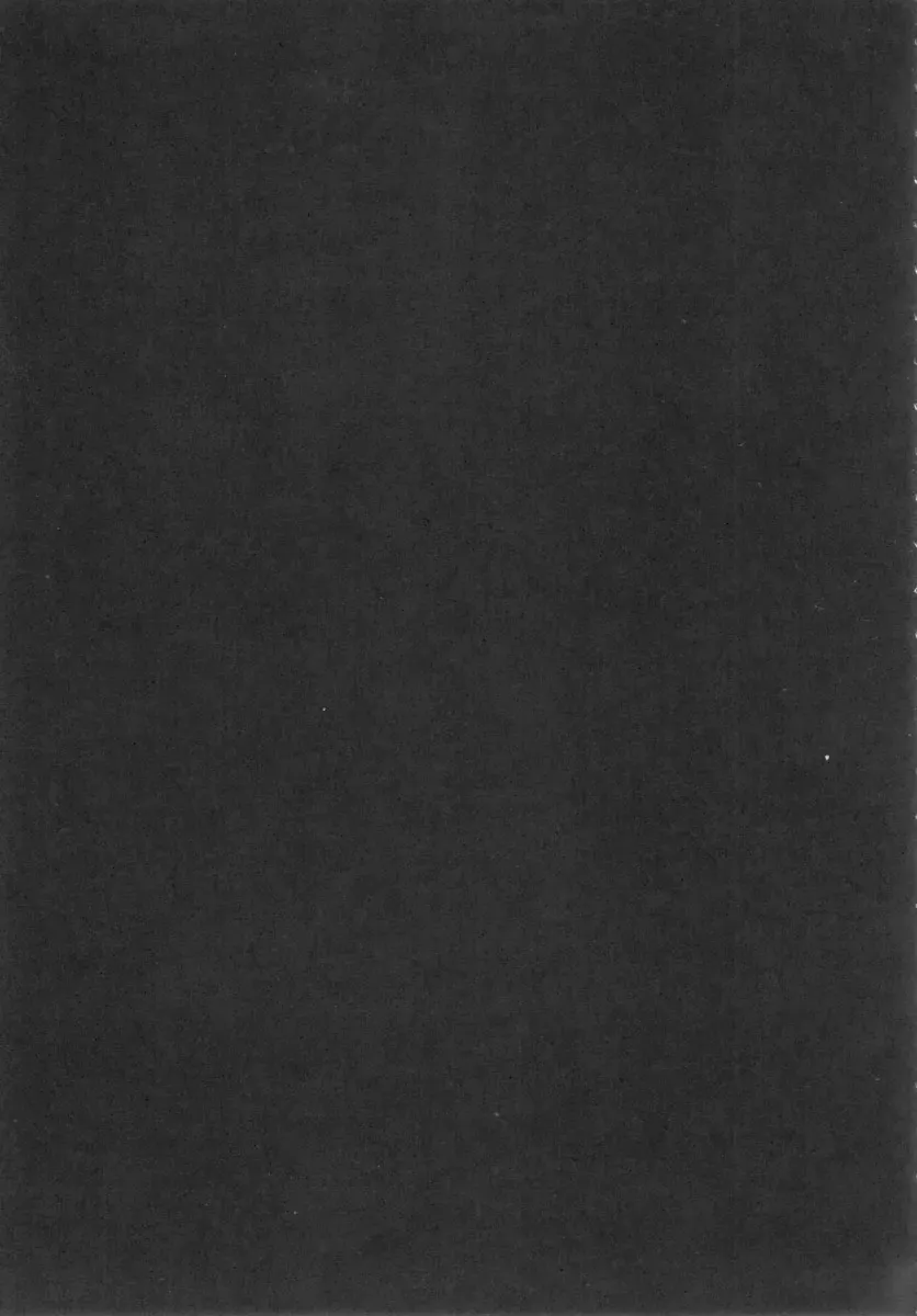 [Oujano Kaze] Drill Hime Rape Fhentai - Page 4