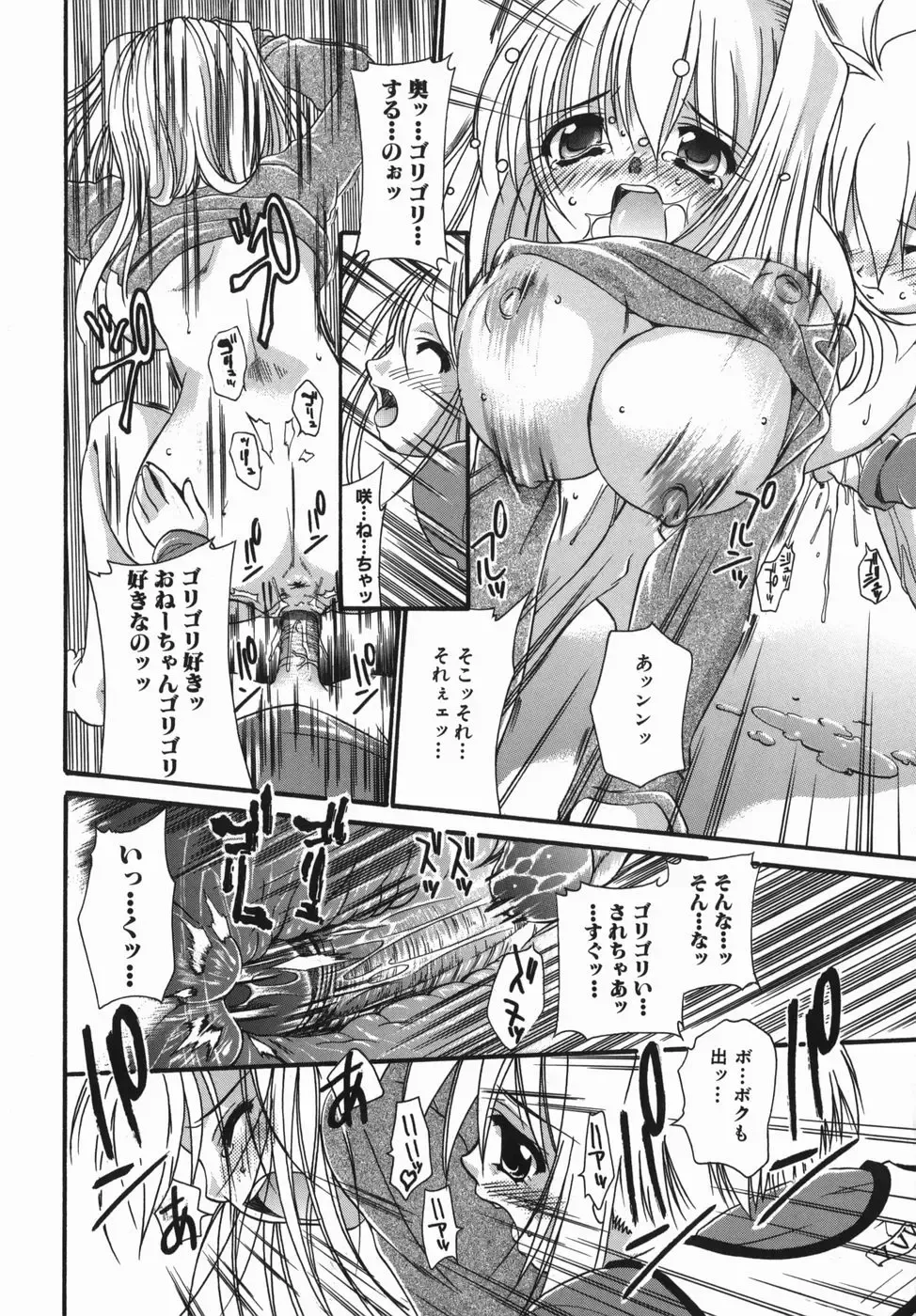 [Nikusyo] Oneechan no Shiru Fhentai - Page 20