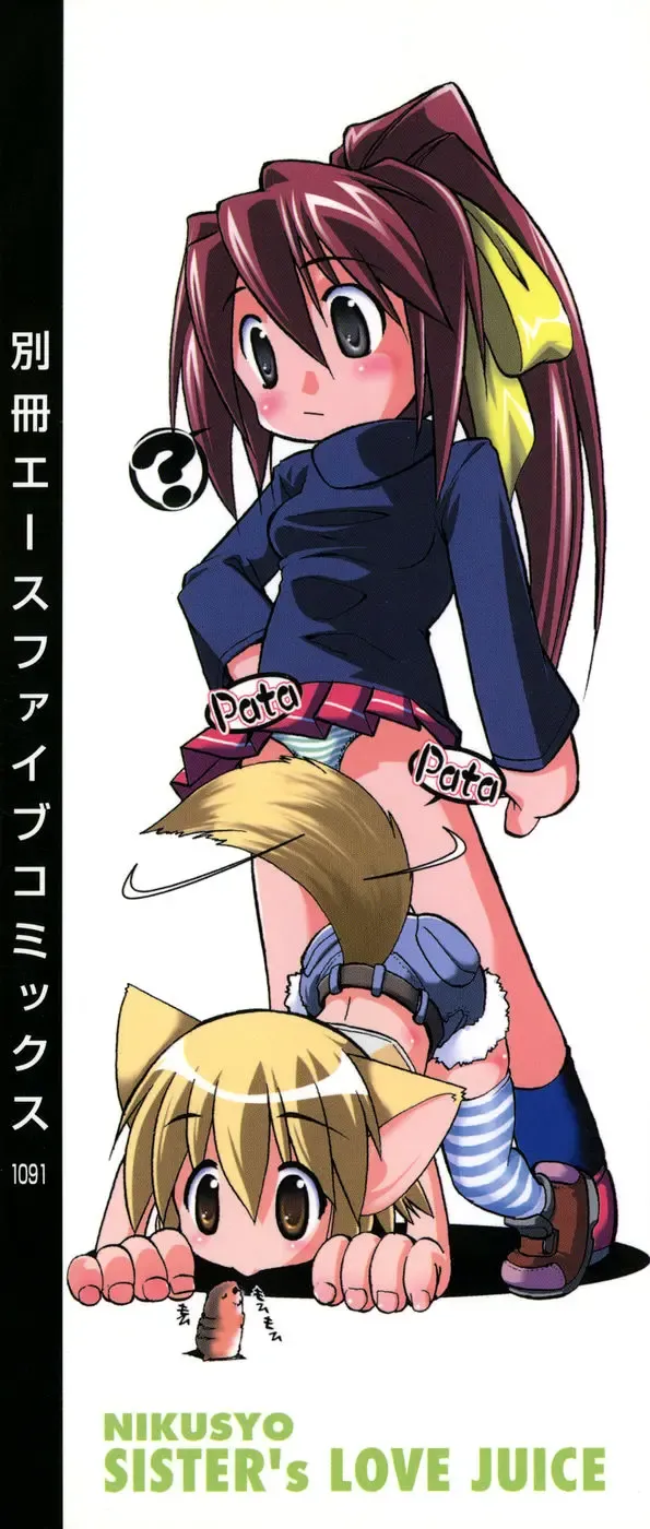 [Nikusyo] Oneechan no Shiru Fhentai - Page 3