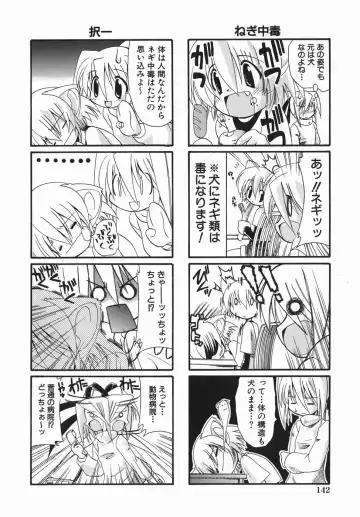 [Nikusyo] Oneechan no Shiru Fhentai - Page 146