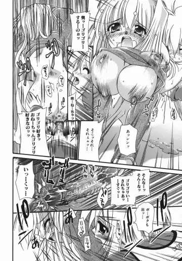 [Nikusyo] Oneechan no Shiru Fhentai - Page 20