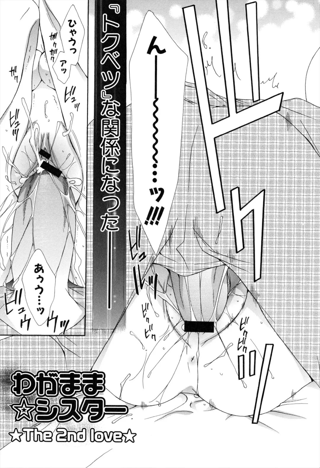 [Rinrin] Boku To Ane To Imouto To Fhentai - Page 25