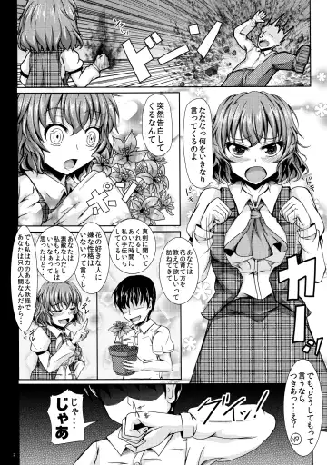 [Koza] Yuukarin ChuChu Fhentai - Page 3