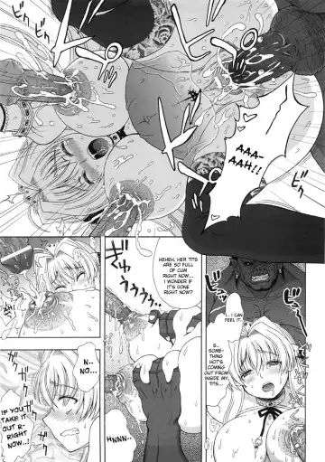 [Chaccu] Pregnant Princess Fhentai - Page 15