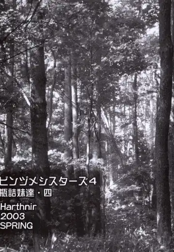 [Misakura Nankotsu] Binzume Sisters Binzume Imototachi 4 Fhentai - Page 2