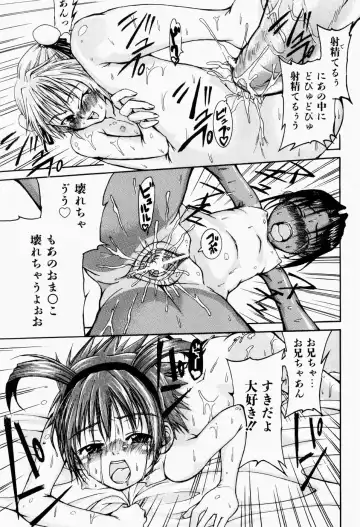 [Fujikawa Satoshi] Pet Shoujo Ikusei Gakkou Fhentai - Page 172